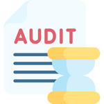 Audit by a Chartered Accountant